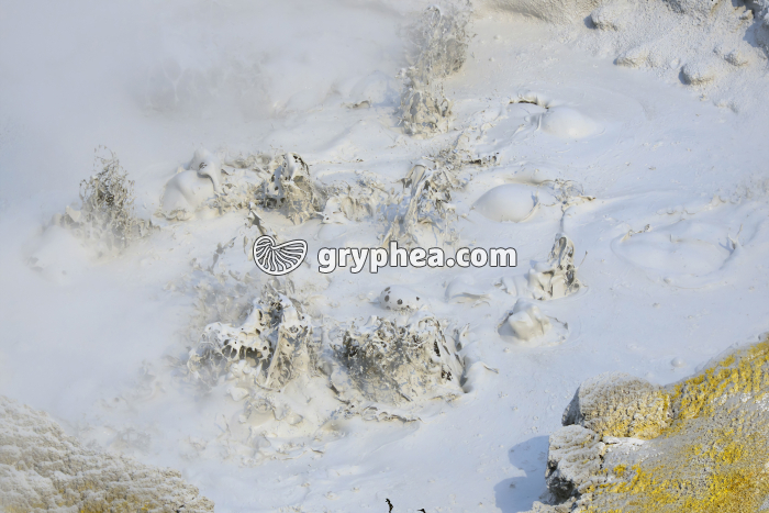Sulfur Calderon (Yellowstone NP, Wyoming, USA) - gryphea.org